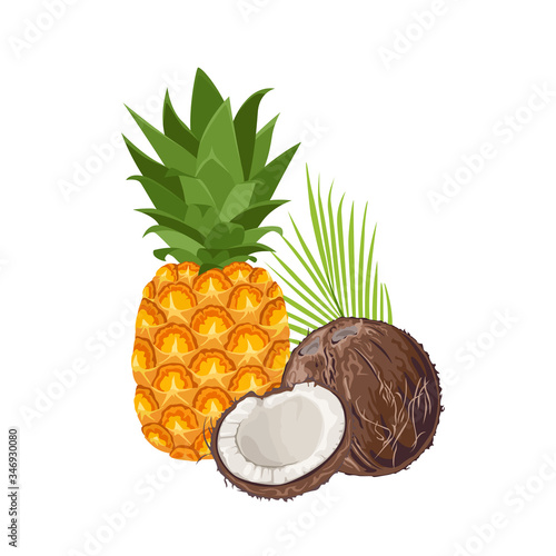 Pineapple and coconut isolated on white background. Vector illustration of tropical fruits in cartoon flat style.