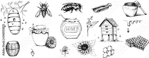 Bee honeycomb set. Graphic illustration hand-drawn on a white background isolated elements. Natural healthy product, vitamins, sweet food. Print, textiles. doodle, sketch.