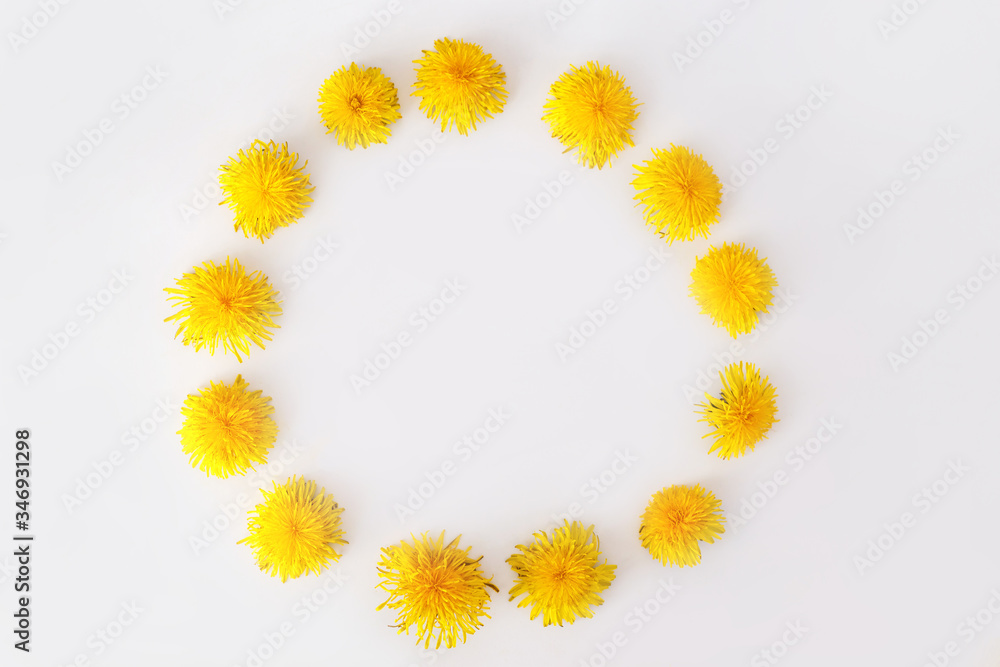 Round frame made of dandelions flowers. Summer concept, top view, flat lay.