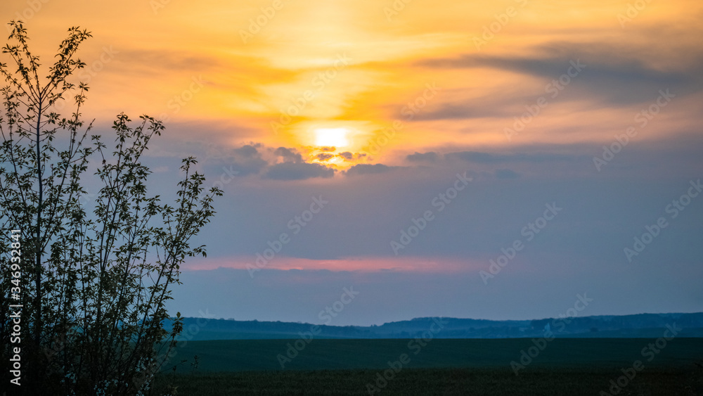 Silhouette of a tree on a background of picturesque sky during sunset