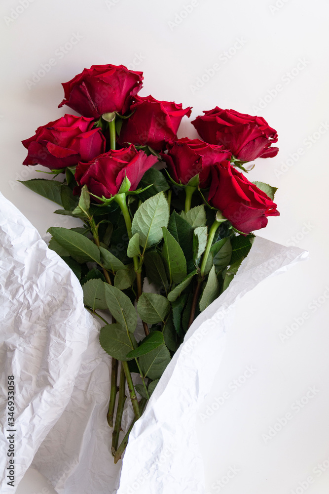 Fototapeta premium red roses on a white background