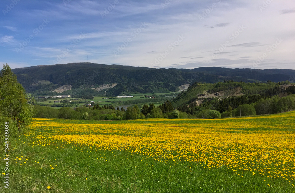 Melhus flower meadow landscape and river Gaula