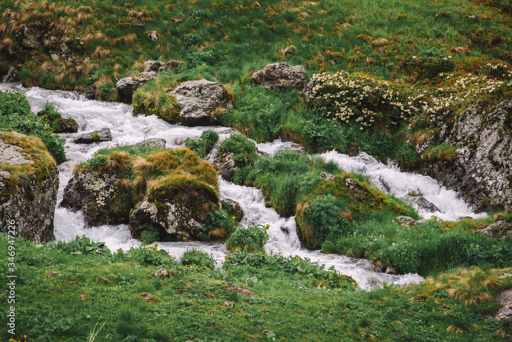 Stream in the Spring's mountains Stream in the Spring's mountains