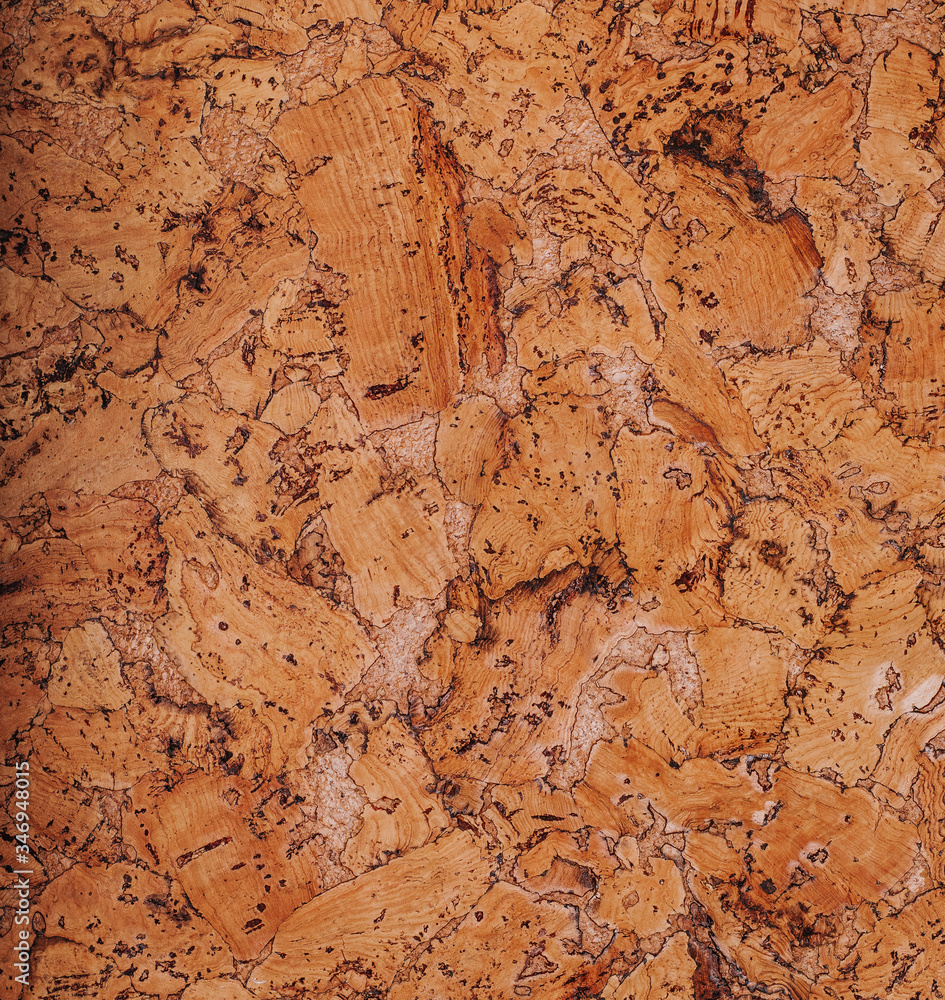 Cork board background Cork board background