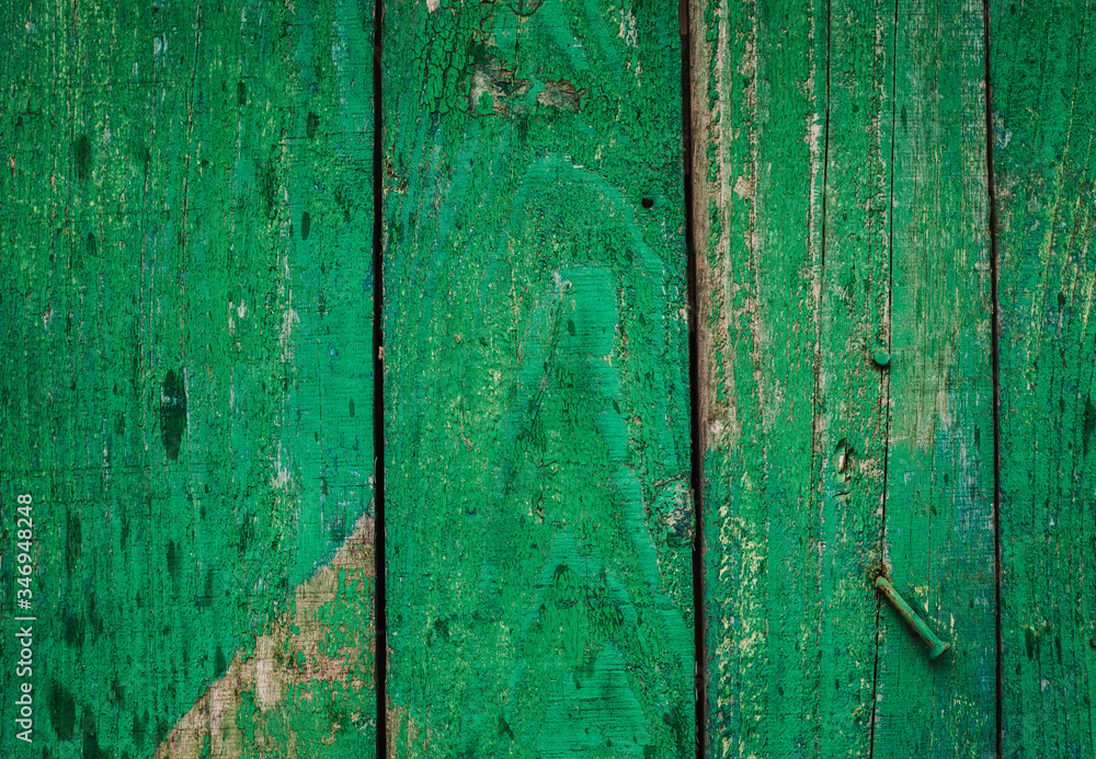 Fototapeta premium Background old wooden surface painted green paint