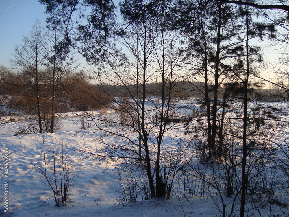 snow, tree, winter, snow, river, ice, freshness, beauty, freedom snow, tree, winter, snow, river, ice, freshness, beauty, freedom
