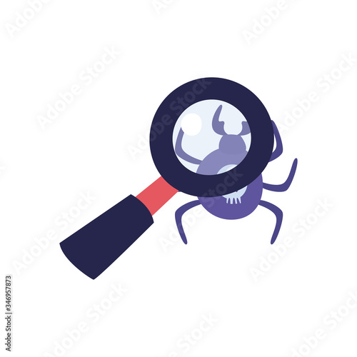 Spider with skull and lupe flat style icon vector design