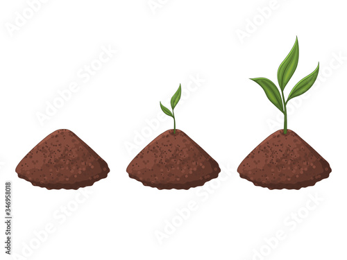Germination of the sprout. The plant is growing. Isolated object on a white background. Cartoon style.