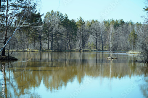 spring nature landscape green and bare trees lake reflection of trees in water blue sky green water suburban area