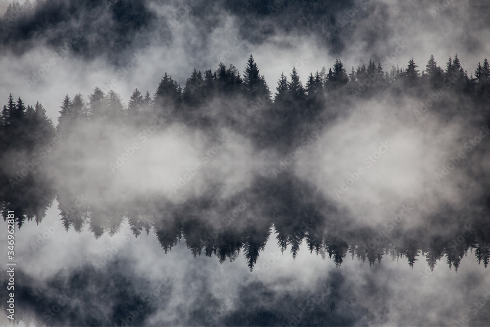 Abstract image with foggy forest that looks like sound-waves.