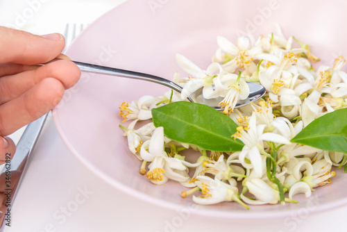 White flowers on the pink plate in the center of the white background, with spoon. Top view. Spring flowers concept. Closeup.