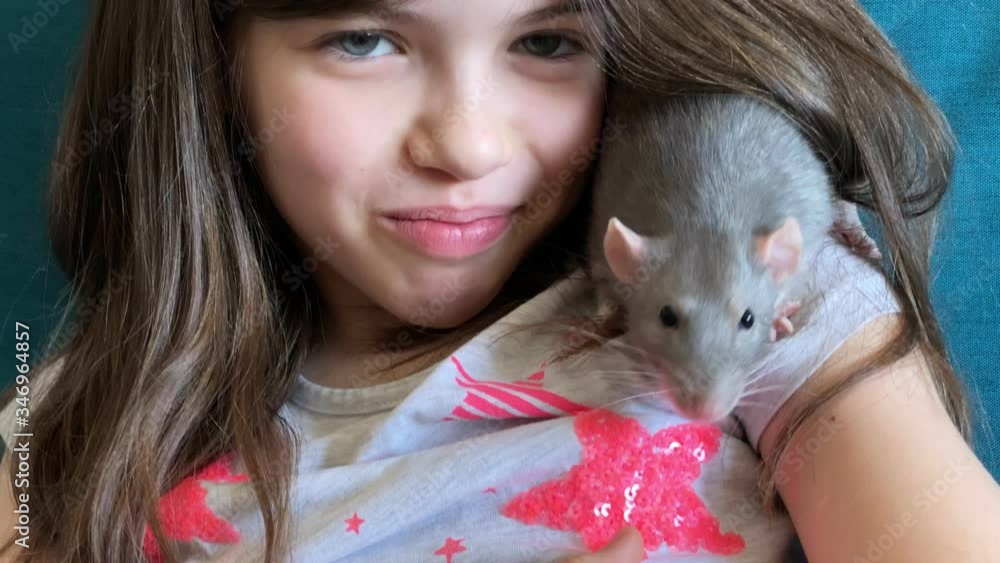 Little beautiful girl holds on her shoulder a home decorative rat dambo. Love of children and animals, concept Little beautiful girl holds on her shoulder a home decorative rat dambo. Love of children and animals, concept