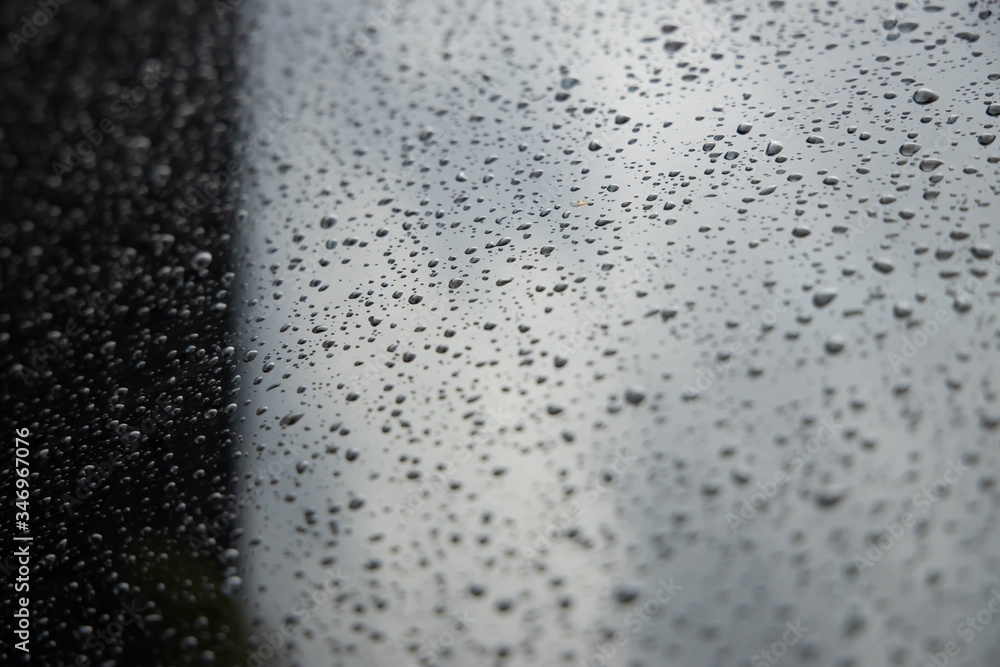 Obraz premium Drops after rain