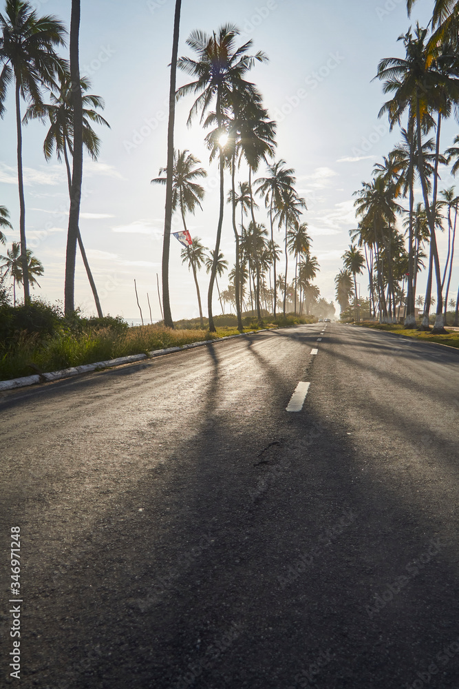Ghana, Sun shining over palm trees along empty asphalt road Ghana, Sun shining over palm trees along empty asphalt road