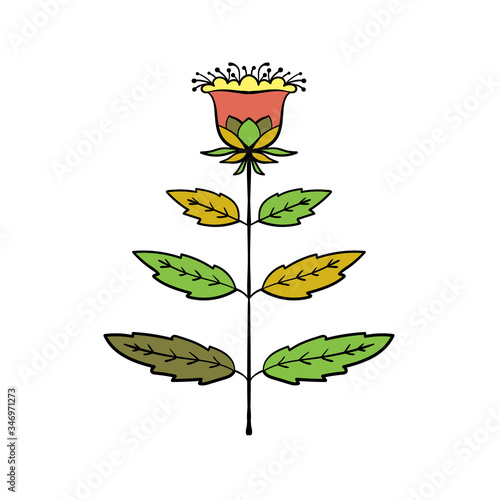 Flower vector illustration.