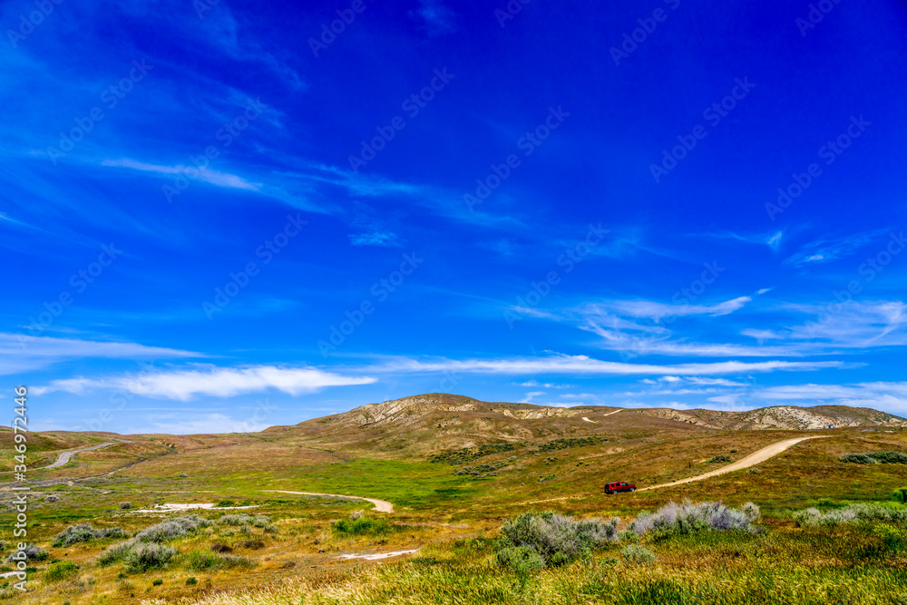 Fototapeta premium Car in Rolling Hills