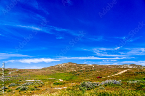 Car in Rolling Hills