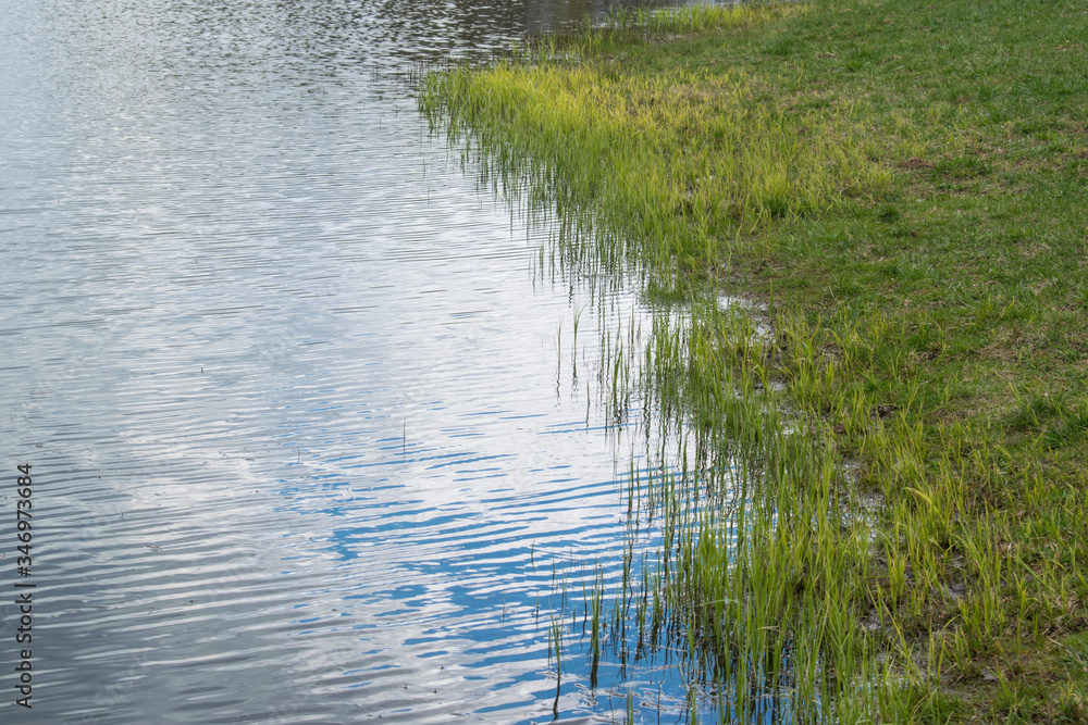 The shore of the lake, clear blue water and the edge with green grass The shore of the lake, clear blue water and the edge with green grass