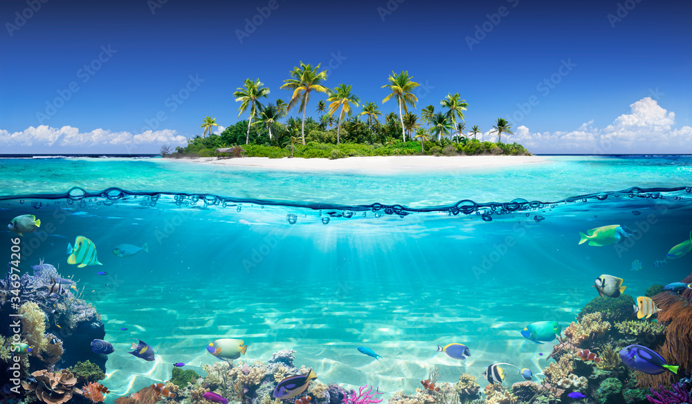 Tropical Island And Coral Reef - Split View With Waterline
 - obrazy, fototapety, plakaty 