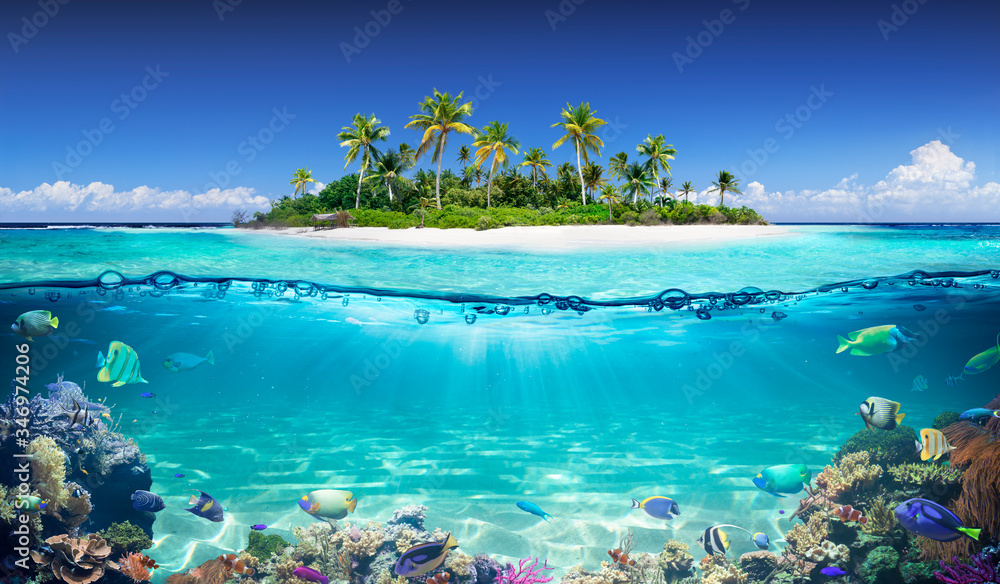 Tropical Island And Coral Reef - Split View With Waterline
