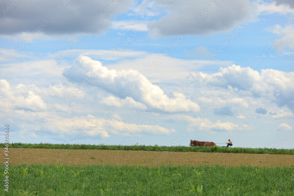 Amish farmer plowing field in Pennsylvania Amish farmer plowing field in Pennsylvania