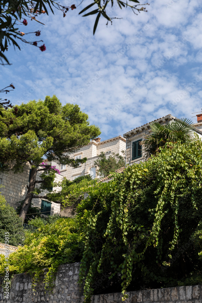 A house overgrown with vines, greenery and flowers in Dubrovnik, Dalmatia, Croatia on a sunny day in summer with a blue sky. Trees, flowers and the covered walls creaiting a calm and idyllic scenery