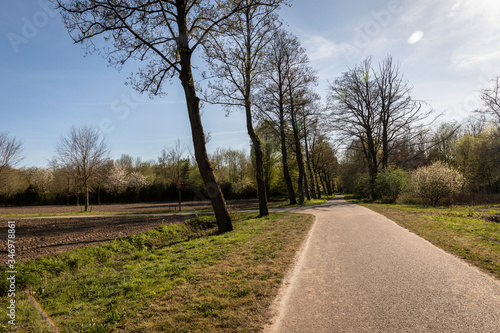 View of the rural area near the Philips de Jongh Park and Strijp R in Eindhoven City on a sunny day in summer. Dutch nature with a road, trees and greenery on a spring day in April