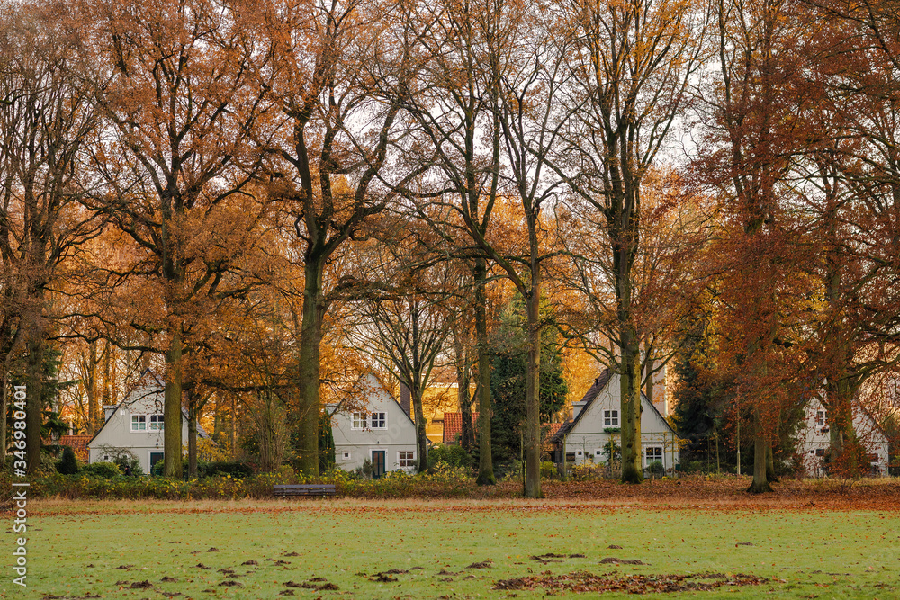 Authentic Dutch houses in Eindhoven surrounded by trees during fall with orange fallen leaves creating an idyllic scenery. Near the woods