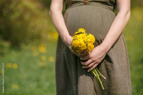 Belly of a pregnant woman in spring with dandelions