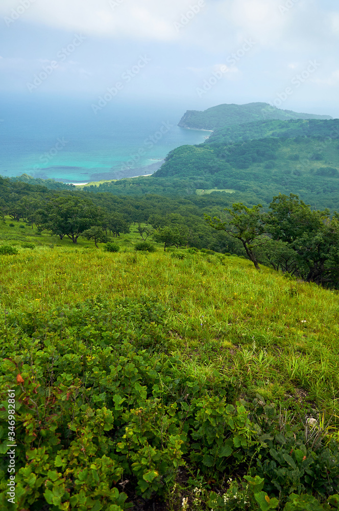 Sea bay surrounded by green hills. Sea bay in the sea of Japan surrounded by green hills by day. Sea bay surrounded by green hills. Sea bay in the sea of Japan surrounded by green hills by day.