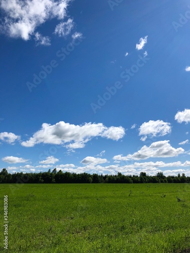 green field and blue sky © Liliia Fatkhullina