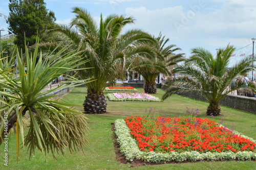 Exotic gardens, Torquay, Devon, England photo