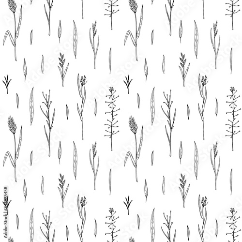 Hand drawn herbal seamless pattern. Vector illustration in sketch style