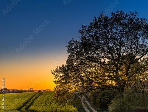 yellow sunset in the Harz