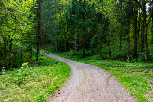 forest road © Maximilian