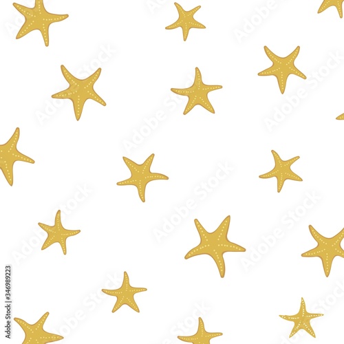 starfish background vector illustration design