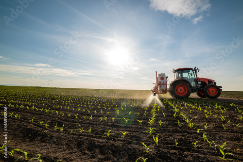 Tractor spraying young corn with pesticides 1