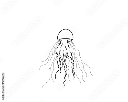 Wallpaper Mural Black line drawing of a Jellyfish, simple vector illustration Torontodigital.ca