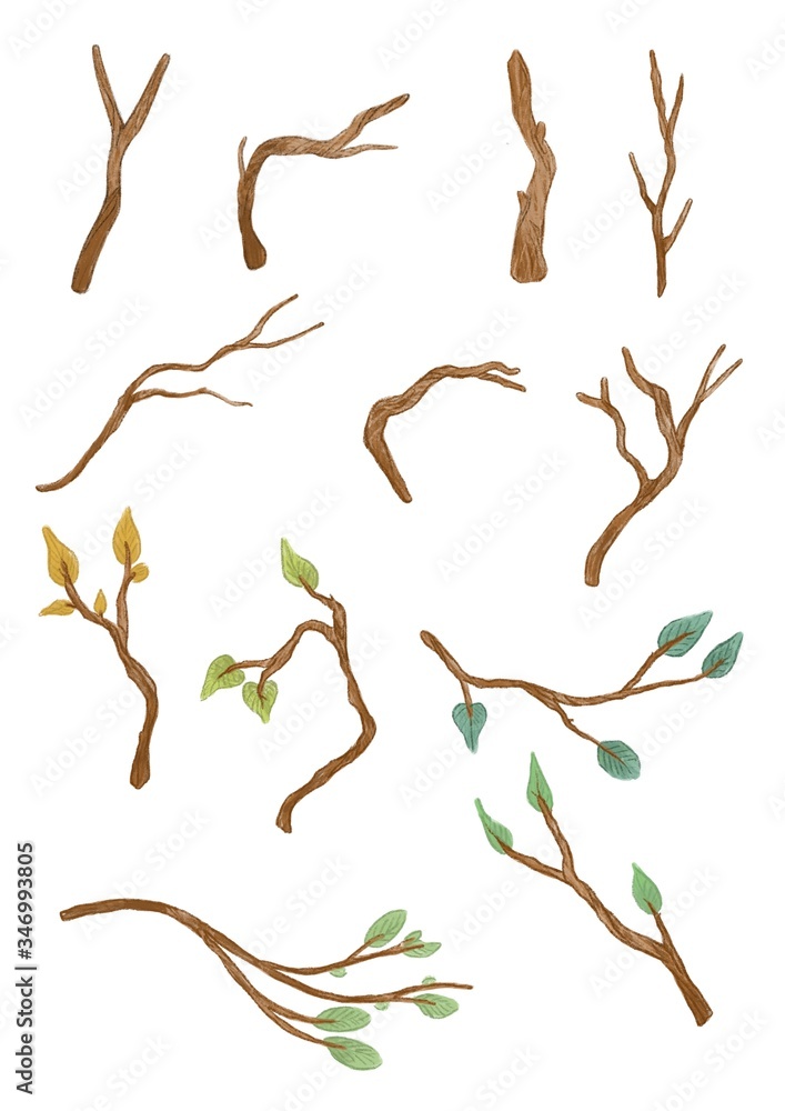 set of branches on a white background