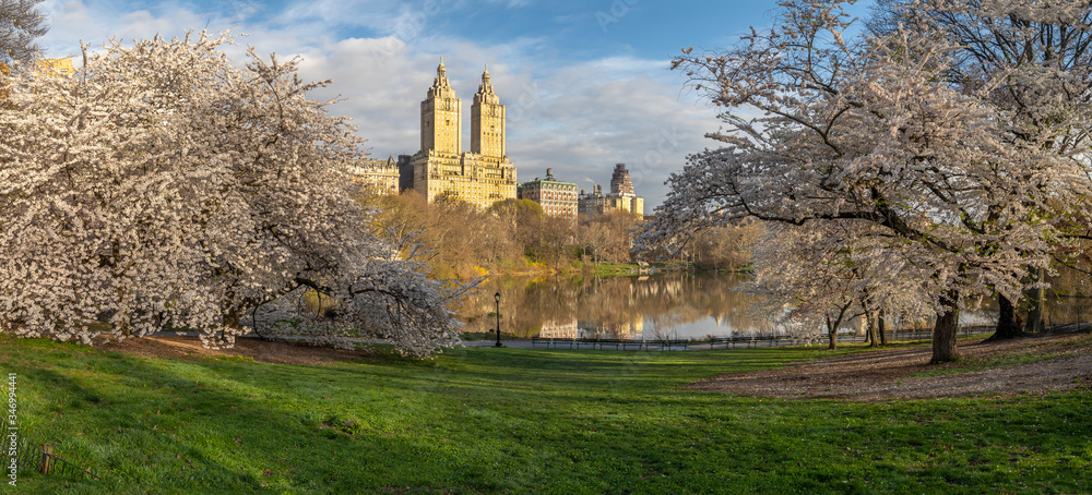 Obraz premium Central Park in spring