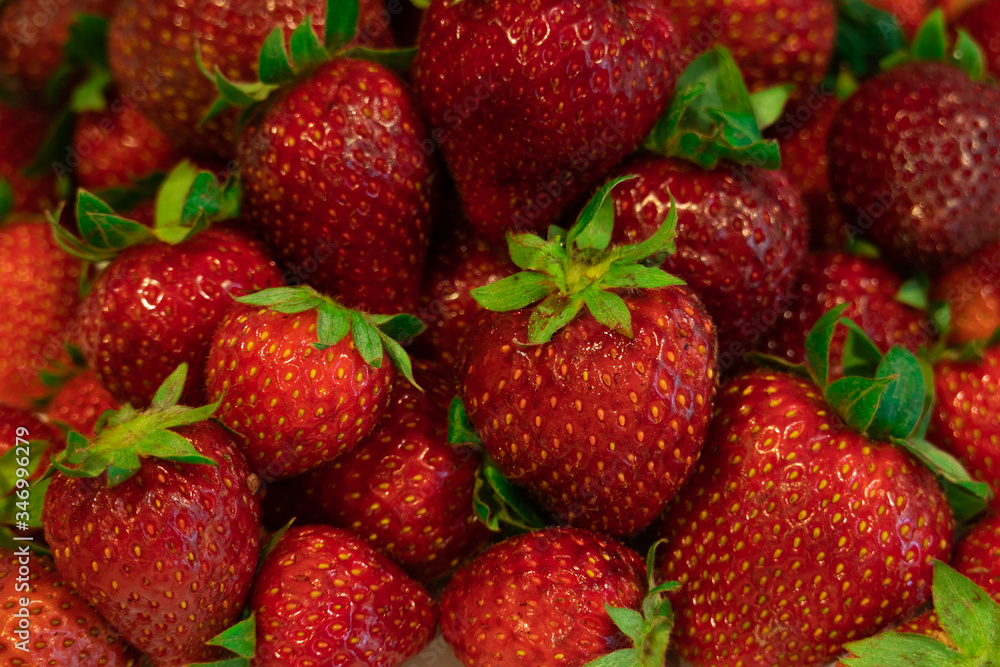 Strawberry on a white background Strawberry on a white background