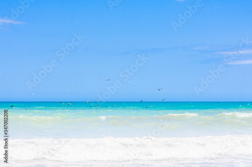 tropical beach with blue sky