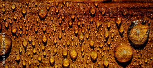 Wallpaper Mural water drops on a wood surface Torontodigital.ca
