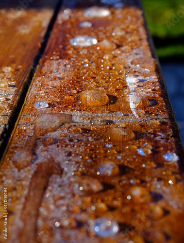 Wallpaper Mural water drops, morning frost Torontodigital.ca