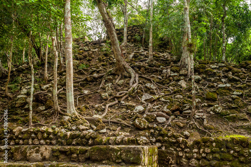 Detalle de ruinas y   rboles en Zona Arqueol  gica de Calakmul  Campeche  M  xico.