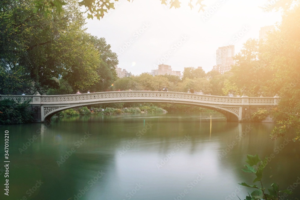 Fototapeta premium bridge over river