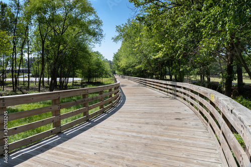 Distant runners on an elevated boardwalk through forest and wetlands, horizontal aspect © Natalie Schorr