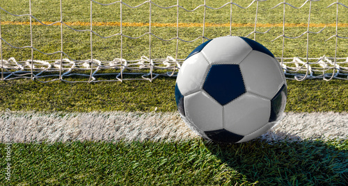 Soccer ball at line soccer goal © cunaplus