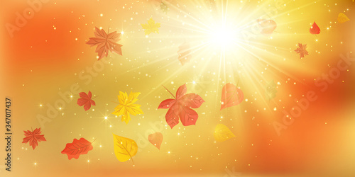 Banners with fall leaves. Autumn background. Fall Abstract autumnal background with colorful leaves  on wind. EPS 10