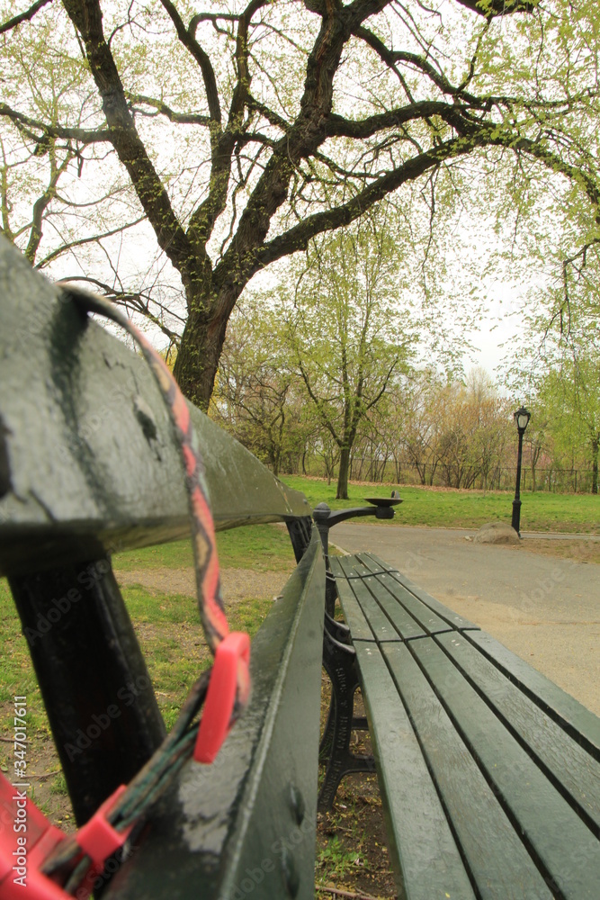 park bench in the park